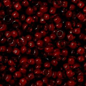 11/o Japanese Seed Bead 0397I Fancy - Beads Gone Wild
