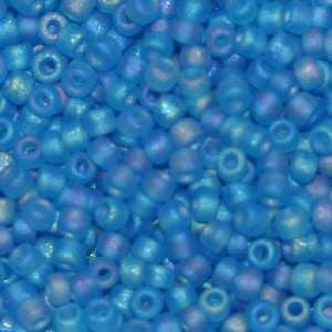 6/O Japanese Seed Beads Frosted F261A - Beads Gone Wild
