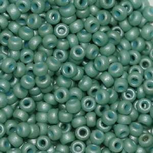 6/O Japanese Seed Beads Frosted F463N - Beads Gone Wild
