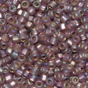 6/O Japanese Seed Beads Frosted F640 - Beads Gone Wild
