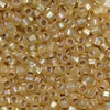 11/o Japanese Seed Bead F0634A Frosted - Beads Gone Wild